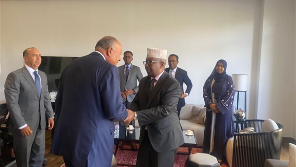 سامح شكري ونظيره