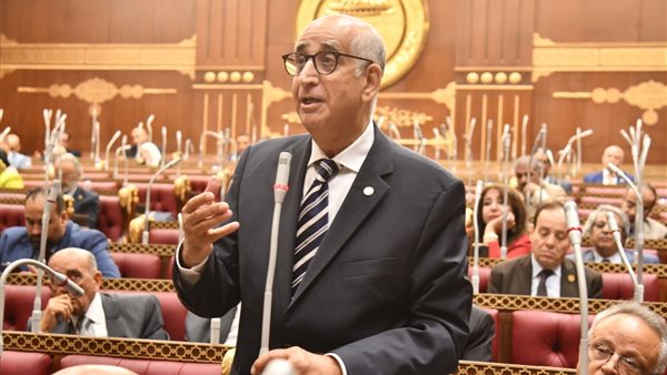 النائب حسانين توفيق