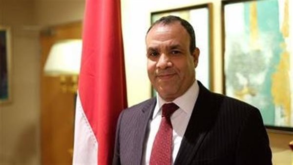 السفير بدر عبد العاطي