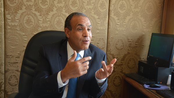 السفير بدر عبد العاطي