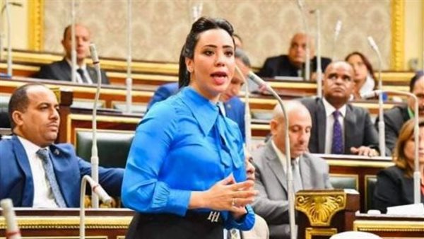 النائبة غادة علي