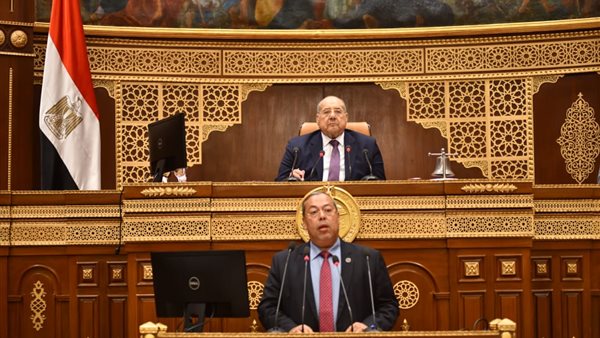  الجلسة العامة لمجلس