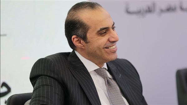 المستشار محمود فوزي