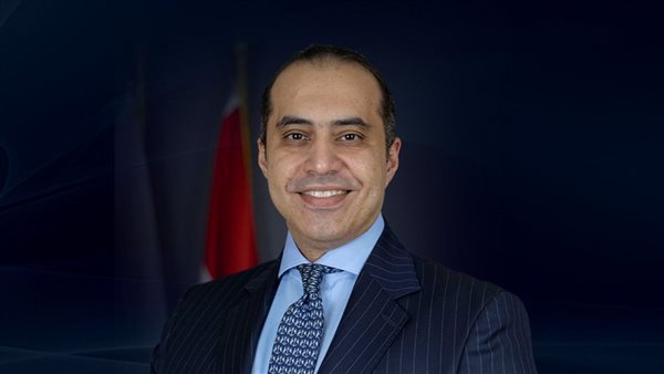 المستشار محمود 