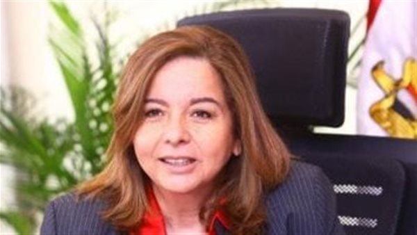 الرئيس التتفيذي لصندوق