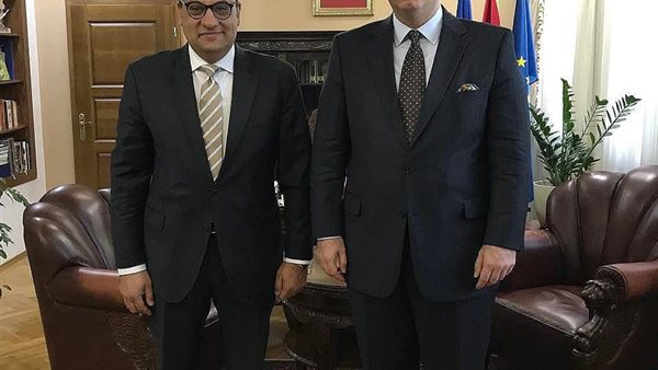 سفير مصر يلتقي بوزير