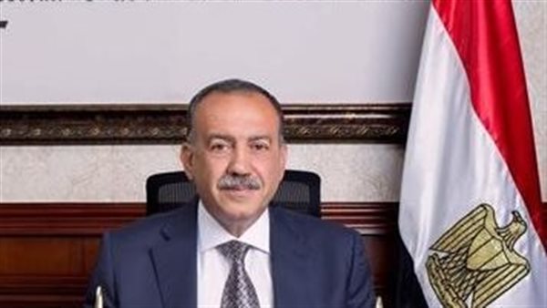 هشام أبو النصر