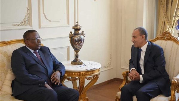 بدر عبد العاطي -