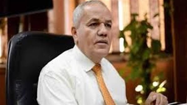 المهندس صلاح عزت