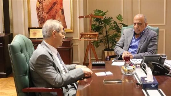 وزير الكهرباء 