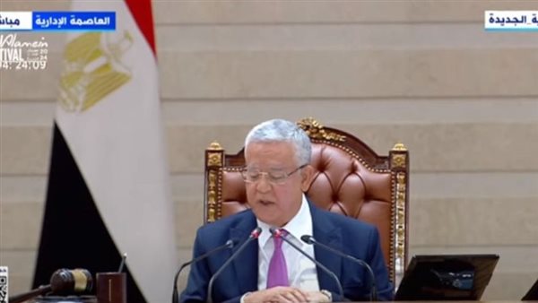 المستشار الدكتور