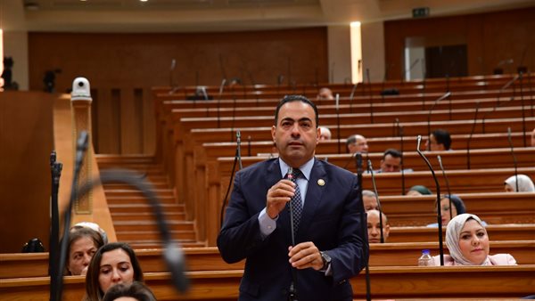 النائب محمود حسين