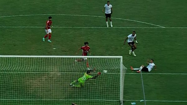 تألق مصطفى شوبير