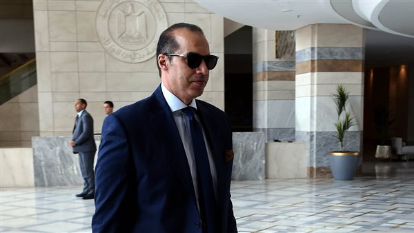 المستشار محمود فوزي