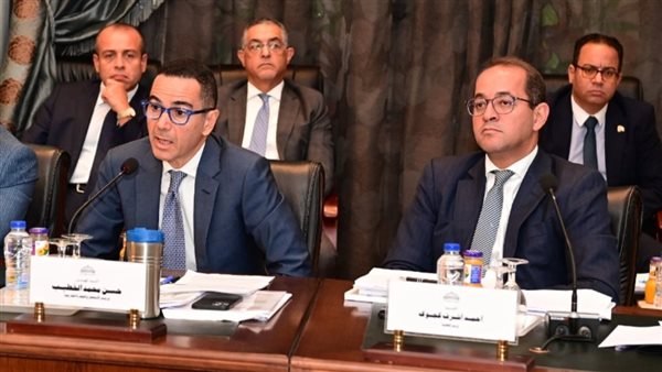 وزراء التخطيط والمالية