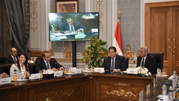 المستشار محمود فوزي