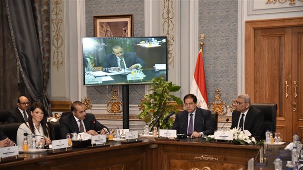 المستشار محمود فوزي