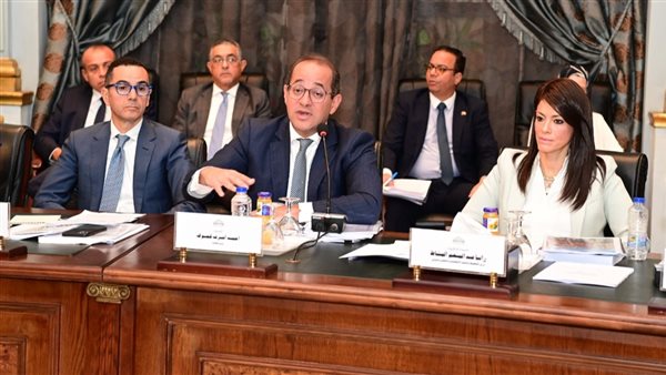 وزير المالية أحمد