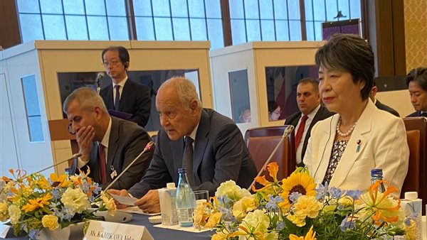 أحمد أبو الغيط خلال