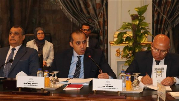 المستشار محمود فوزي