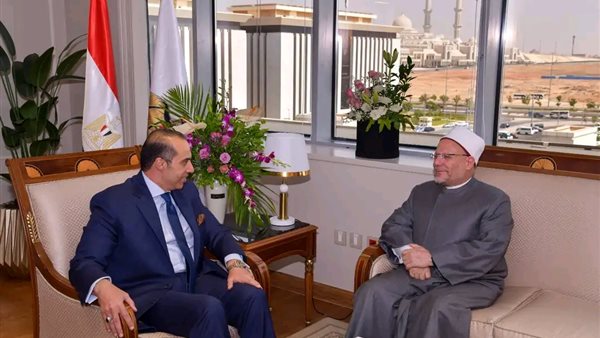 المستشار محمود فوزي