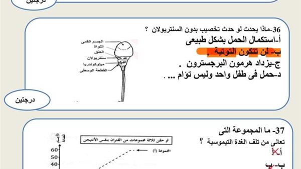 الأسئلة المتوقعة