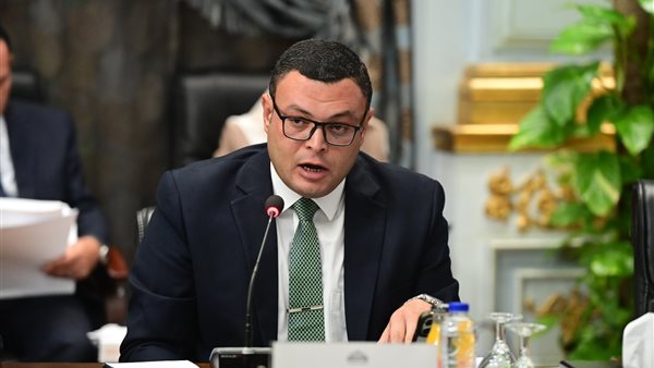 الوزير شريف شربيني