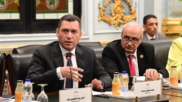 النائب محمد مصطفى