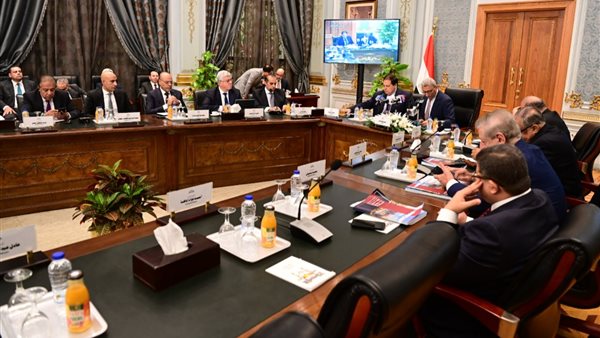 اجتماع اللجنة الخاصة