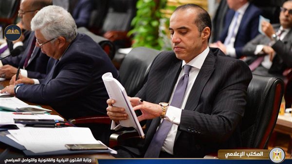 المستشار محمود فوزي