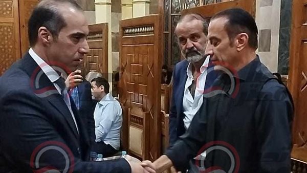 المستشار محمود فوزي