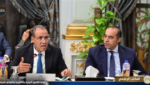 السفير بدر عبد العاطي