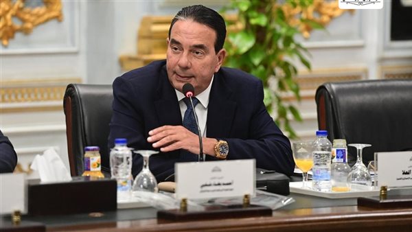 النائب أيمن أبو العلا