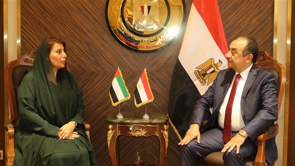 وزير قطاع الأعمال