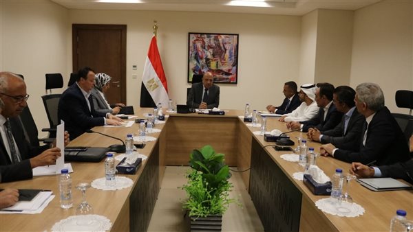 وزير الكهرباء 