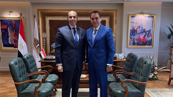 المستشار محمود فوزي