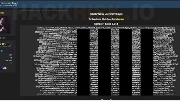 هجوم سيبراني على