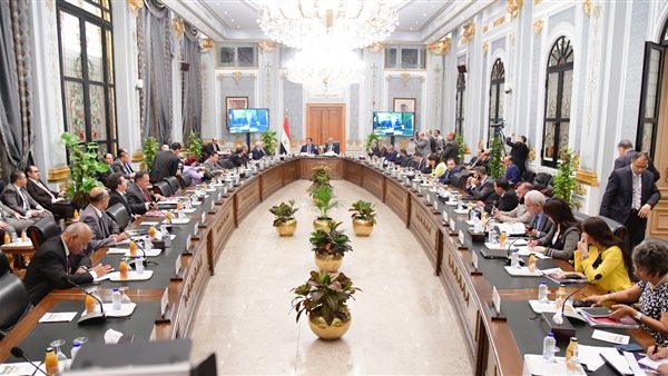 اللجنة الخاصة المشكلة