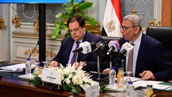 اللجنة الخاصة المشكلة