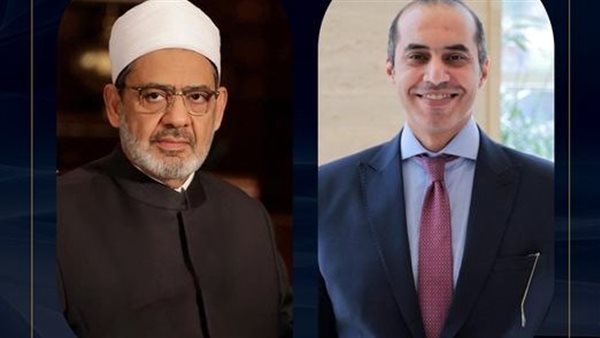 المستشار محمود فوزي