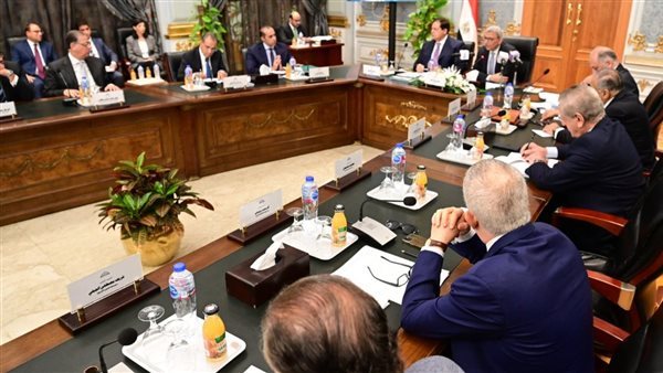 اللجنة الخاصة المشكلة