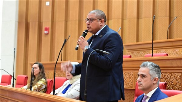 النائب محمد إسماعيل