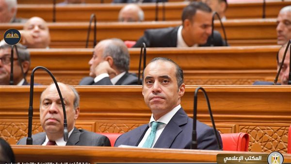 المستشار محمود فوزي