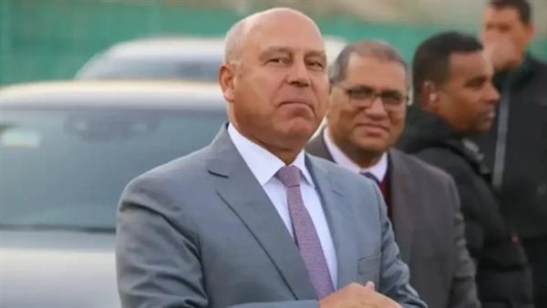 كامل الوزير، نائب