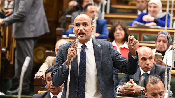  النائب حسام أبو