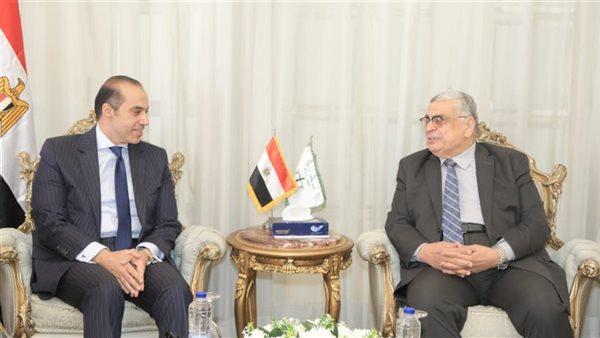 المستشار محمود فوزي