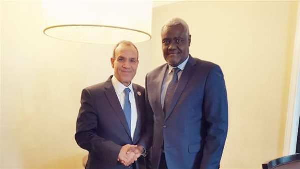 بدر عبد العاطي -