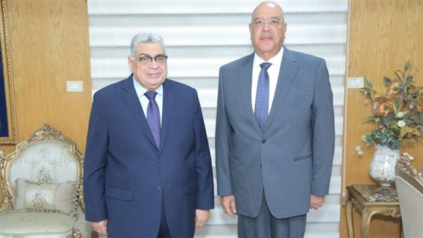 لقاء رئيس مجلس الدولة