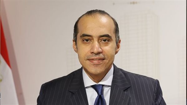 المستشار محمود فوزي