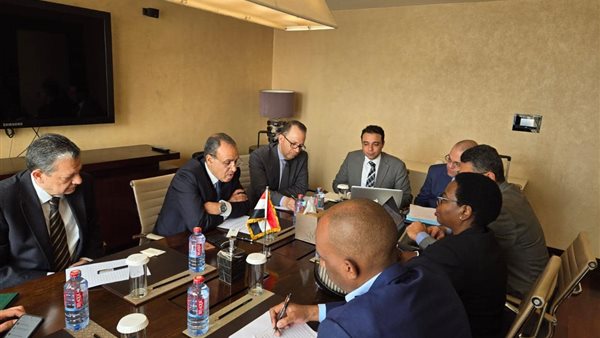 وزير الخارجية يلتقي